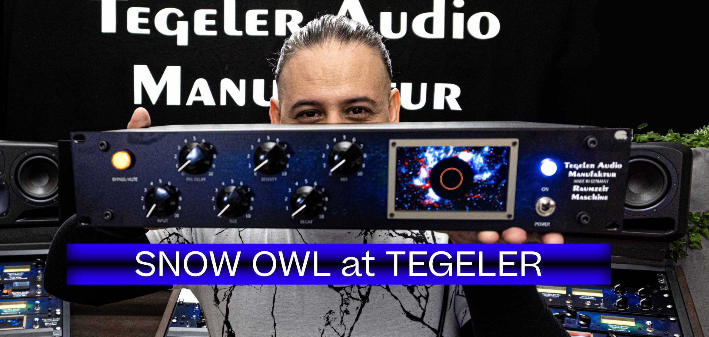 Snow Owl at Tegeler